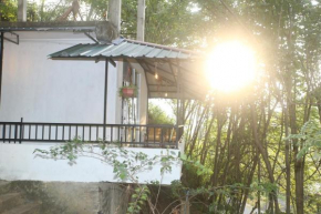 Evergreen Cottage